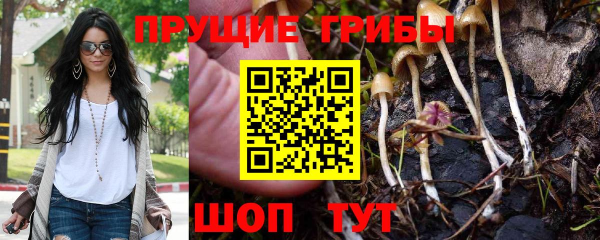 Галлюциногенные грибы прущие грибы  Галлюциногенные грибы MAGIC MUSHROOMS  Вход с VPN  Майский 