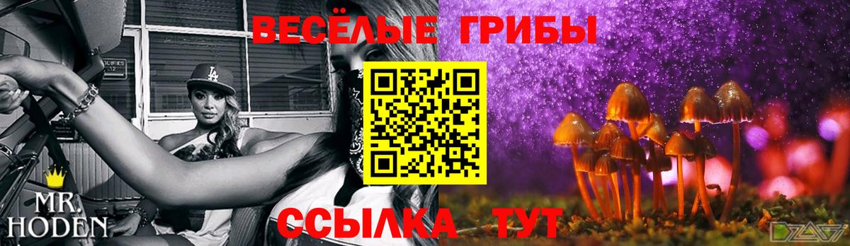 Галлюциногенные грибы мухоморы Майский